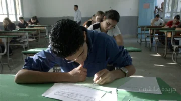 تنبيه عاجل لطلاب الجيزة!.. انطلاق امتحانات شهر أكتوبر غدًا للمراحل التعليمية الثلاث 1